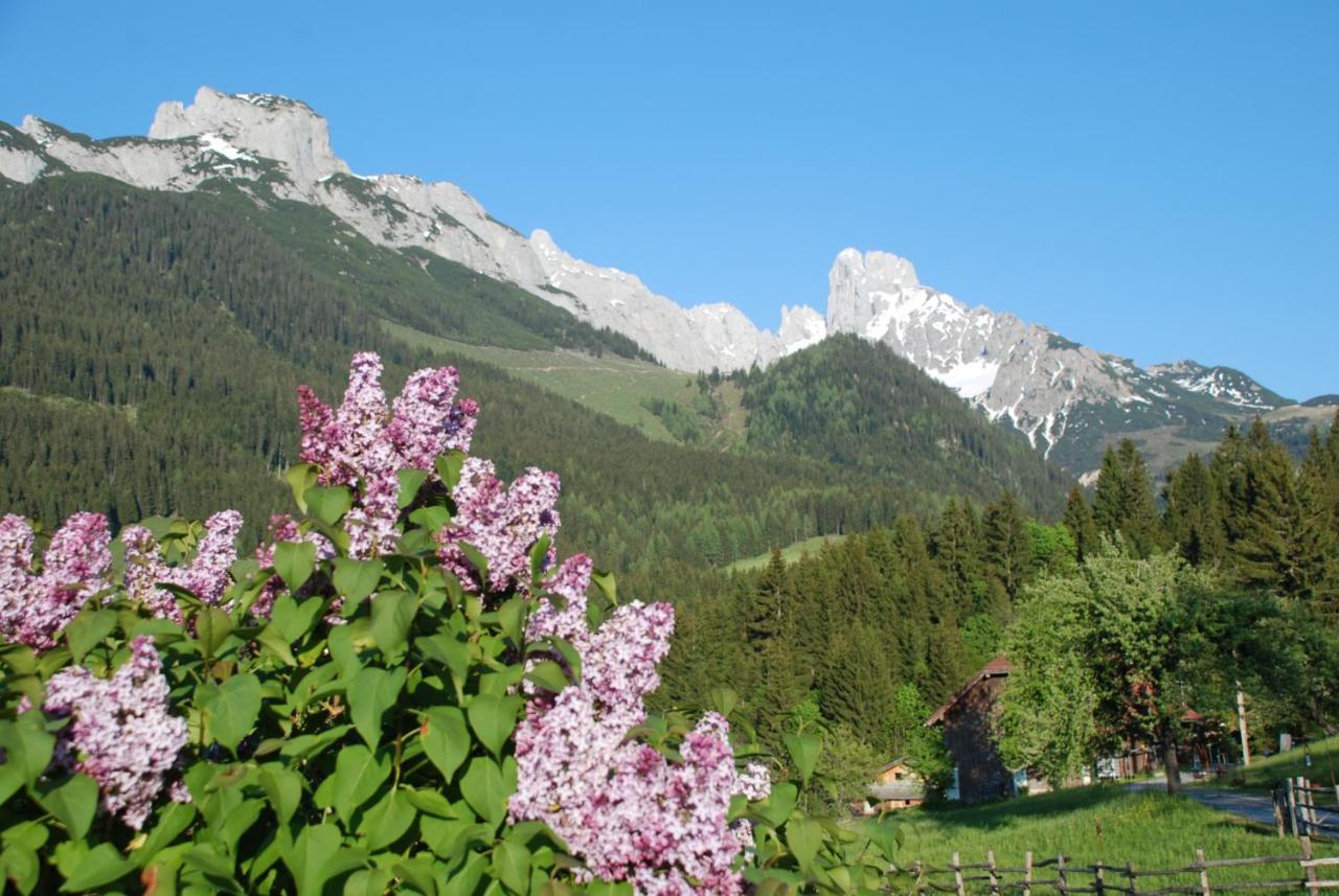 דירות אנברג אים לאמרטל Alpenhaus Donnerkogel מראה חיצוני תמונה