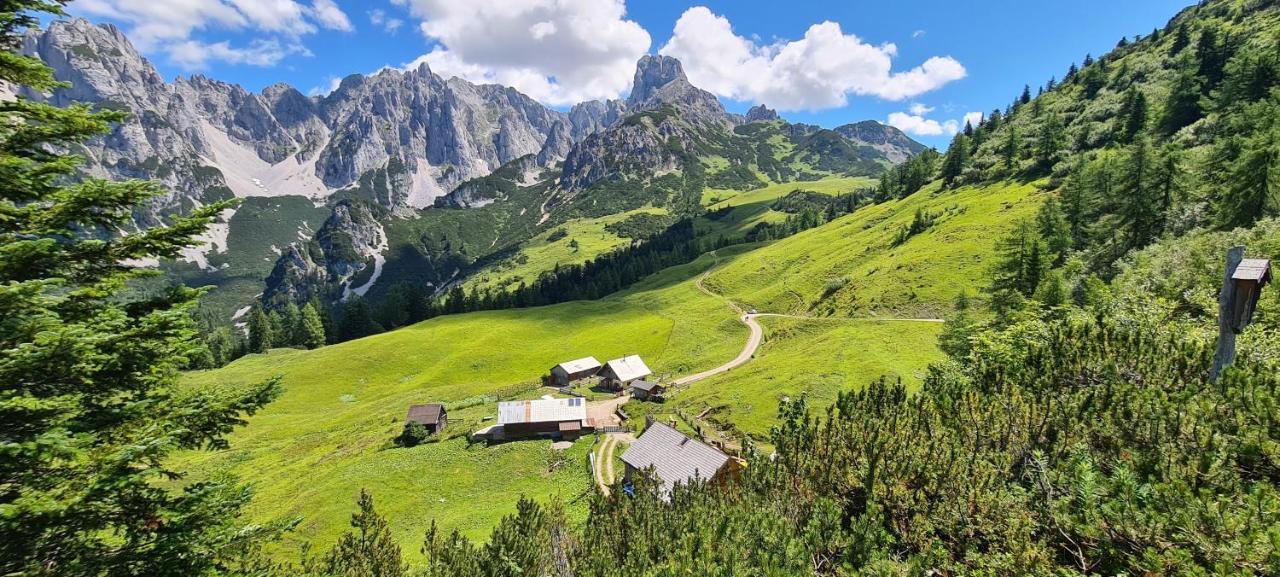 דירות אנברג אים לאמרטל Alpenhaus Donnerkogel מראה חיצוני תמונה