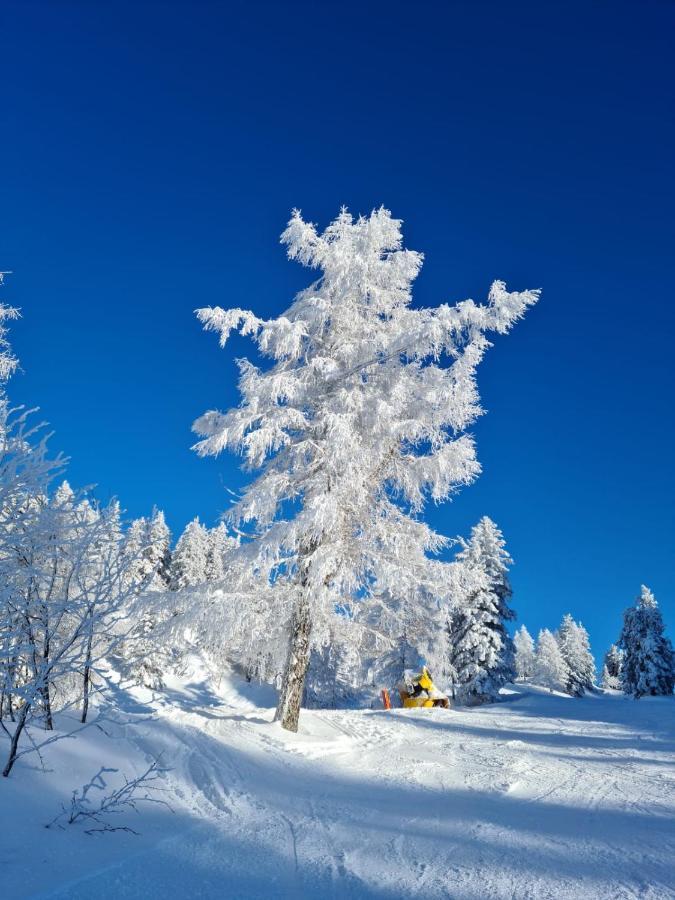 דירות אנברג אים לאמרטל Alpenhaus Donnerkogel מראה חיצוני תמונה